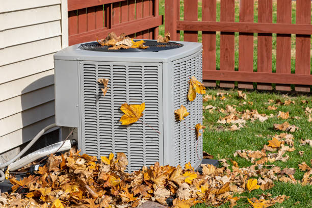 Best Best HVAC companies  in Dawsonville, GA